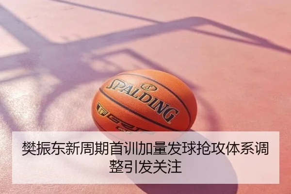 樊振东新周期首训加量发球抢攻体系调整引发关注（NBA）