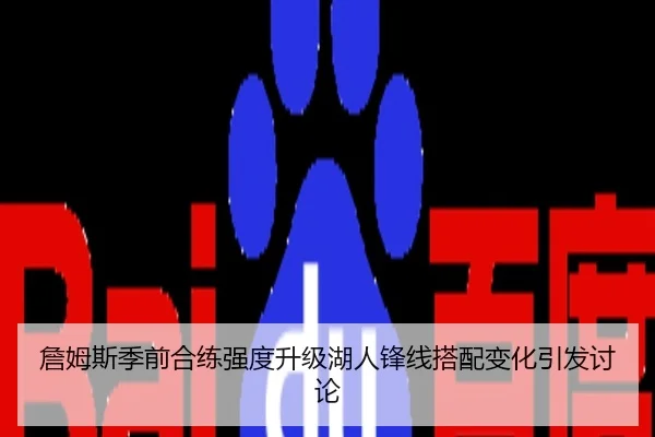 詹姆斯季前合练强度升级湖人锋线搭配变化引发讨论（NBA）